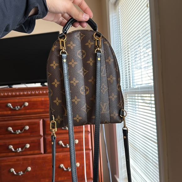 AUTHENTIC Louis Vuitton Palm Springs Mini - Picture 3 of 15